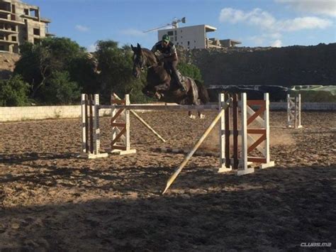 equitation settat|Royal Club Equestre Anfa .